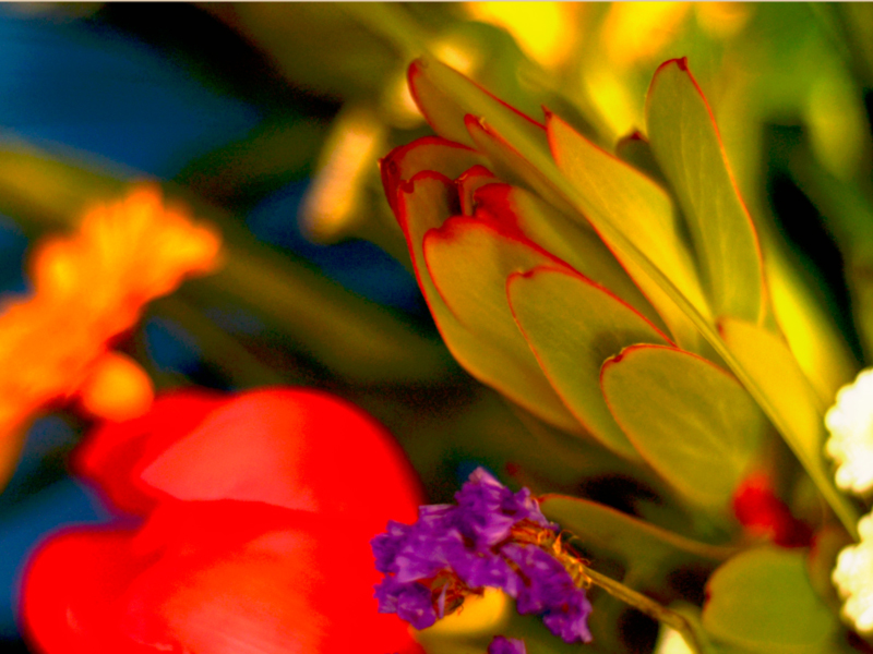 Always work with the best quality flowers.